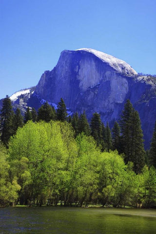 CA, Yosemite Half Dome rock and Merced River Black Ornate Wood Framed Art Print with Double Matting by Flaherty, Dennis