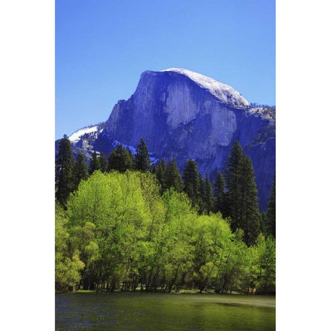 CA, Yosemite Half Dome rock and Merced River White Modern Wood Framed Art Print by Flaherty, Dennis