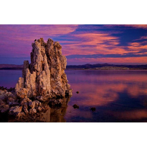 California, Mono Lake Sunrise on tufa formations Black Modern Wood Framed Art Print with Double Matting by Carter, Jean
