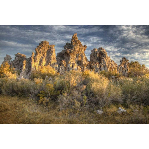 California, Mono Lake Sunrise on tufas and grass Gold Ornate Wood Framed Art Print with Double Matting by Carter, Jean
