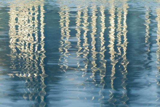 Image Only