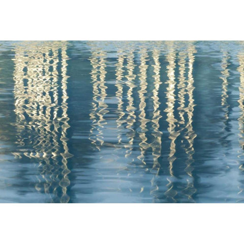 CA, San Diego Reflection on Childrens Park pool Gold Ornate Wood Framed Art Print with Double Matting by Paulson, Don