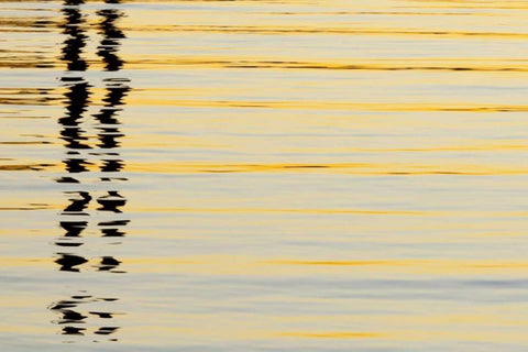 CA, San Diego Abstract reflections in the harbor Black Ornate Wood Framed Art Print with Double Matting by Paulson, Don