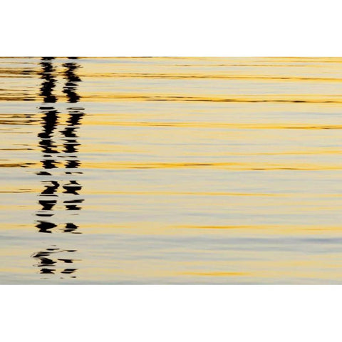 CA, San Diego Abstract reflections in the harbor Black Modern Wood Framed Art Print by Paulson, Don