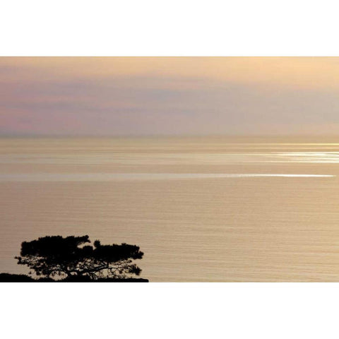 USA, California, La Jolla Sunset on ocean White Modern Wood Framed Art Print by Paulson, Don