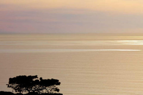 USA, California, La Jolla Sunset on ocean Black Ornate Wood Framed Art Print with Double Matting by Paulson, Don