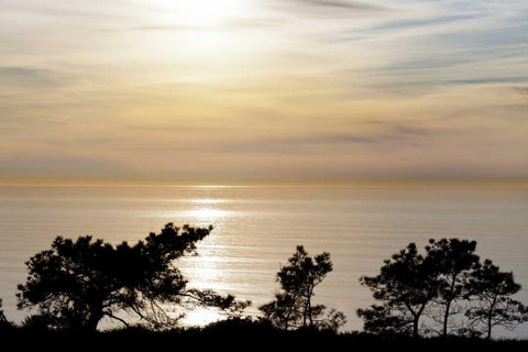 USA, California, La Jolla Sunset on ocean White Modern Wood Framed Art Print with Double Matting by Paulson, Don