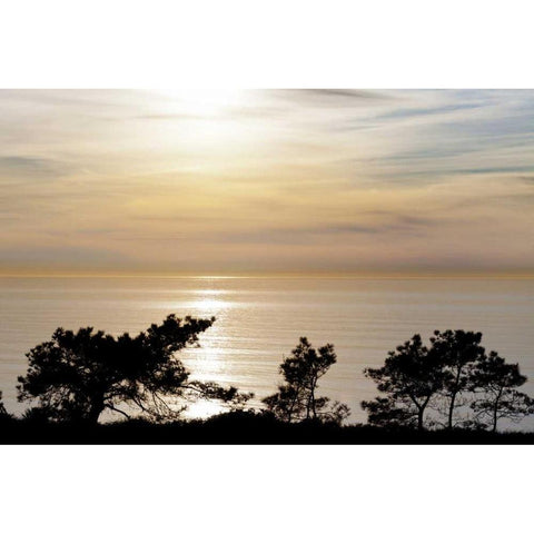 USA, California, La Jolla Sunset on ocean Gold Ornate Wood Framed Art Print with Double Matting by Paulson, Don