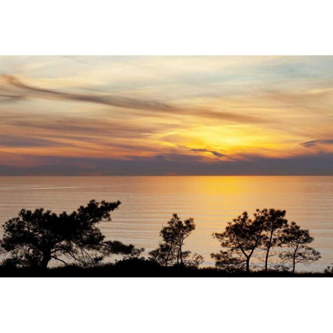USA, California, La Jolla Sunset on ocean Black Modern Wood Framed Art Print by Paulson, Don