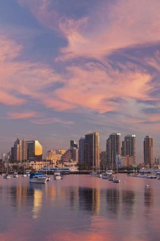 CA, San Diego Sunset view of marina and downtown Black Ornate Wood Framed Art Print with Double Matting by Paulson, Don
