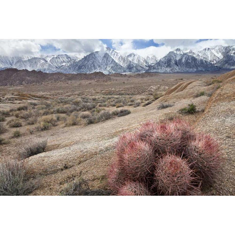 California, Lone Pine Alabama Hills and Sierras White Modern Wood Framed Art Print by Paulson, Don
