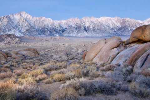 California Lone Pine Peak and Mt Whitney Black Ornate Wood Framed Art Print with Double Matting by Paulson, Don