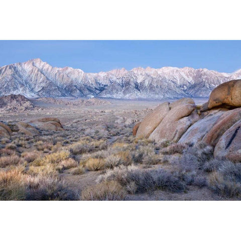 California Lone Pine Peak and Mt Whitney Gold Ornate Wood Framed Art Print with Double Matting by Paulson, Don