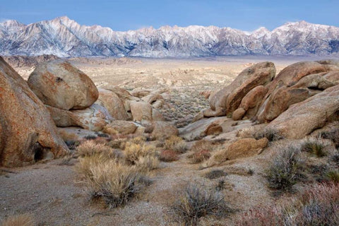 California Lone Pine Peak and Mt Whitney Black Ornate Wood Framed Art Print with Double Matting by Paulson, Don