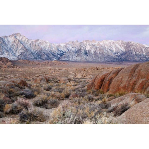 California Lone Pine Peak and Mt Whitney Gold Ornate Wood Framed Art Print with Double Matting by Paulson, Don