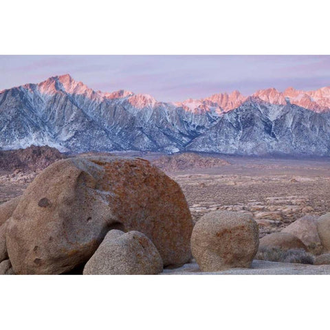 California Lone Pine Peak and Mt Whitney Gold Ornate Wood Framed Art Print with Double Matting by Paulson, Don