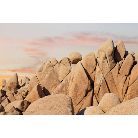 CA, Joshua Tree NP Rock atop boulder formation Black Modern Wood Framed Art Print by Paulson, Don