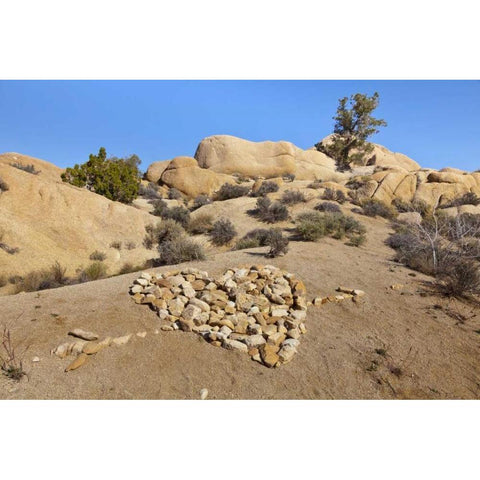 CA, Joshua Tree NP Stone heart pattern Black Modern Wood Framed Art Print by Paulson, Don