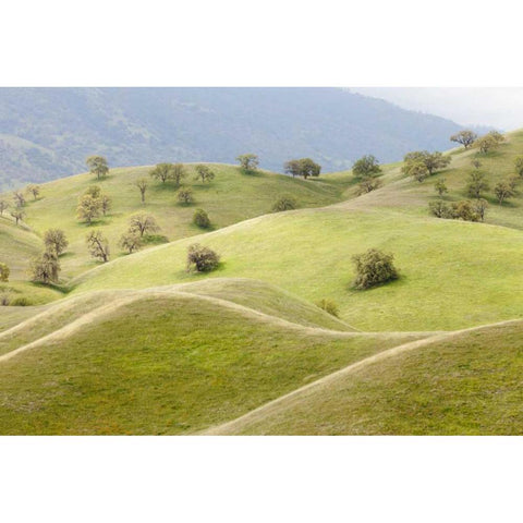 CA, Caliente Spring landscape Black Modern Wood Framed Art Print with Double Matting by Paulson, Don