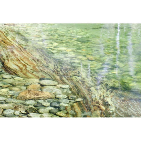 California, Sequoia NP Stones in Paradise Creek White Modern Wood Framed Art Print by Paulson, Don