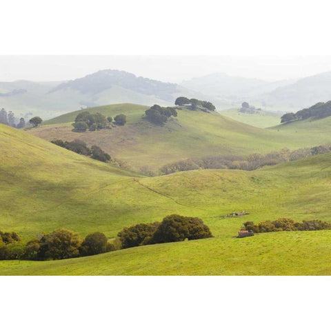 USA, California, Olema Landscape of farm fields Black Modern Wood Framed Art Print by Paulson, Don