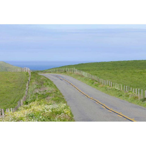 CA, Road through Point Reyes National Seashore Gold Ornate Wood Framed Art Print with Double Matting by Paulson, Don