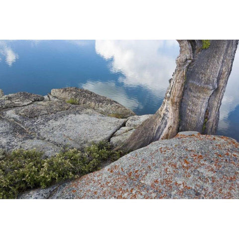 CA, Toiyabe NF Rocks and tree by Granite Lake Black Modern Wood Framed Art Print with Double Matting by Paulson, Don