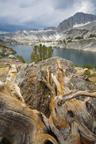 California, Inyo National Forest Steelhead Lake White Modern Wood Framed Art Print with Double Matting by Paulson, Don