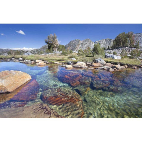 California, Inyo NF Clear stream by Garnet Lake White Modern Wood Framed Art Print by Paulson, Don