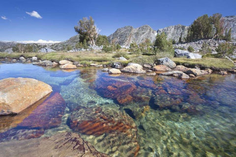 California, Inyo NF Clear stream by Garnet Lake Black Ornate Wood Framed Art Print with Double Matting by Paulson, Don