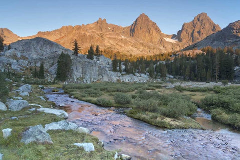 CA, Inyo NF Feeder stream entering Ediza Lake White Modern Wood Framed Art Print with Double Matting by Paulson, Don