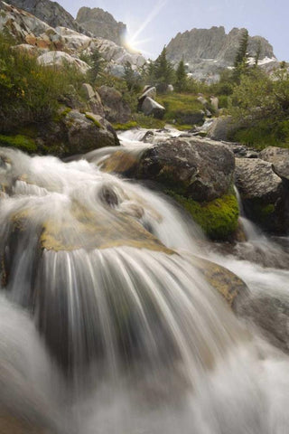 California, Inyo NF Stream flowing to Ediza Lake Black Ornate Wood Framed Art Print with Double Matting by Paulson, Don
