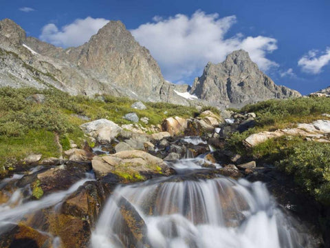 CA, Inyo NF Waterfalls below Mount Ritter Black Ornate Wood Framed Art Print with Double Matting by Paulson, Don