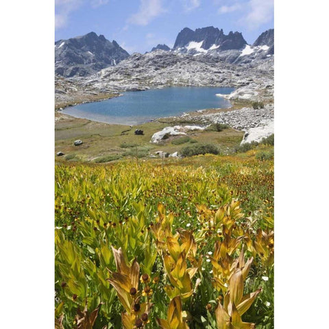 CA, Inyo NF Field of flowers and Nydiver Lake Black Modern Wood Framed Art Print with Double Matting by Paulson, Don