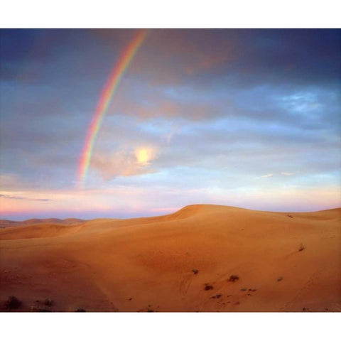 CA, A rainbow over Glamis Sand Dunes at Sunrise Black Modern Wood Framed Art Print by Talbot Frank, Christopher