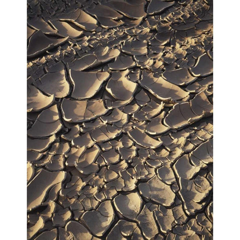 California, Anza-Borrego Patterns of Cracked Mud Black Modern Wood Framed Art Print by Talbot Frank, Christopher