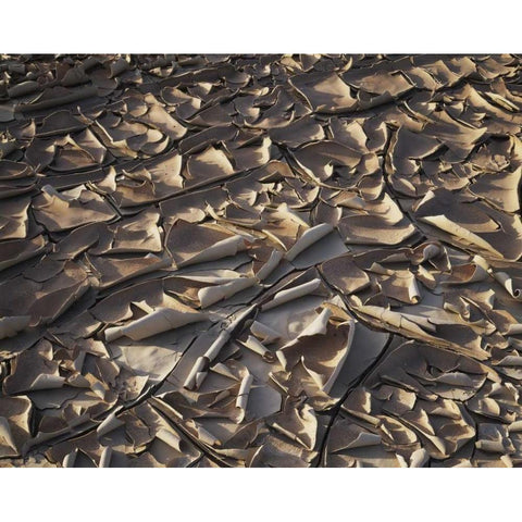 California, Anza-Borrego Patterns of Cracked Mud Black Modern Wood Framed Art Print by Talbot Frank, Christopher