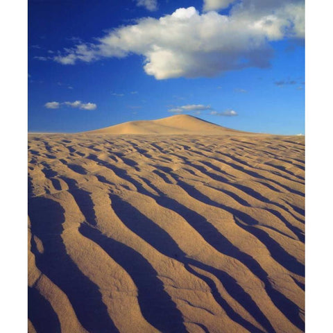 California, Dumont Dunes Sand Dunes and Clouds Black Modern Wood Framed Art Print by Talbot Frank, Christopher
