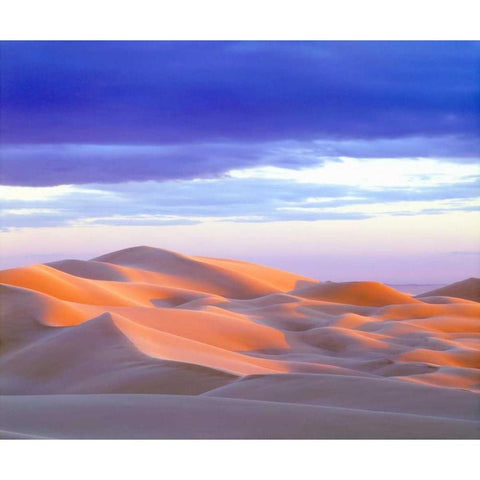 USA, California, Glamis Sand Dunes at sunset Black Modern Wood Framed Art Print with Double Matting by Talbot Frank, Christopher
