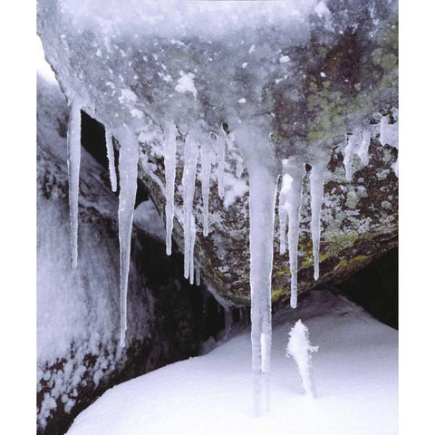 California, Icicles in the Cleveland NF Black Modern Wood Framed Art Print by Talbot Frank, Christopher