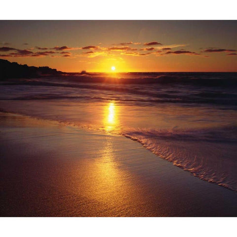 CA, San Diego, A Beach in La Jolla at Sunset Gold Ornate Wood Framed Art Print with Double Matting by Talbot Frank, Christopher