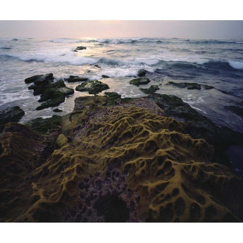 CA, San Diego, Sandstone formations on the Coast Black Modern Wood Framed Art Print by Talbot Frank, Christopher