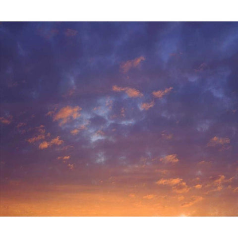 USA, California, San Diego, Sunset Clouds Black Modern Wood Framed Art Print by Talbot Frank, Christopher
