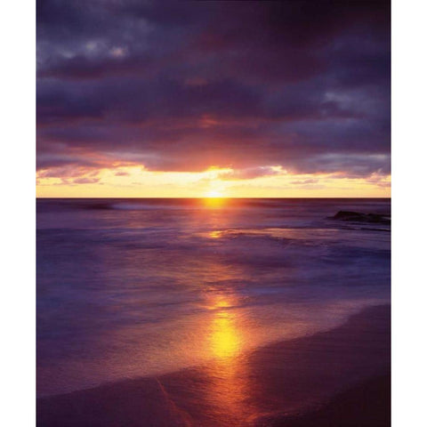 CA, San Diego Sunset Cliffs beach at sunset White Modern Wood Framed Art Print by Talbot Frank, Christopher
