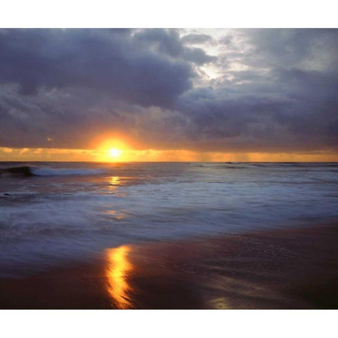 California, San Diego Sunset Cliffs beach Black Modern Wood Framed Art Print by Talbot Frank, Christopher