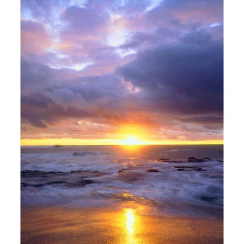 California, San Diego Sunset Cliffs beach Black Modern Wood Framed Art Print by Talbot Frank, Christopher