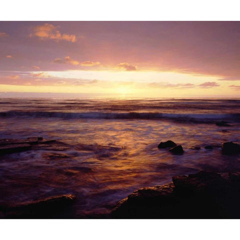 California, San Diego, Sunset Cliffs at Sunset Black Modern Wood Framed Art Print by Talbot Frank, Christopher