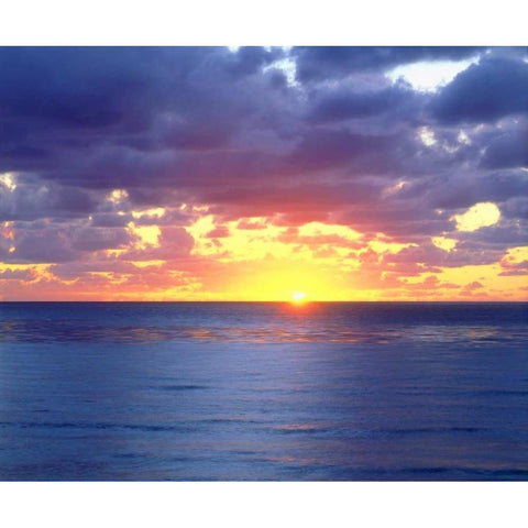 California, San Diego, Sunset Cliffs at Sunset Black Modern Wood Framed Art Print by Talbot Frank, Christopher