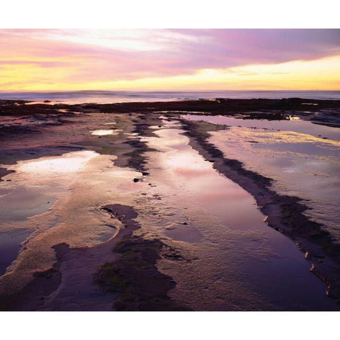 California, San Diego, Sunset Cliffs tide pools Black Modern Wood Framed Art Print by Talbot Frank, Christopher