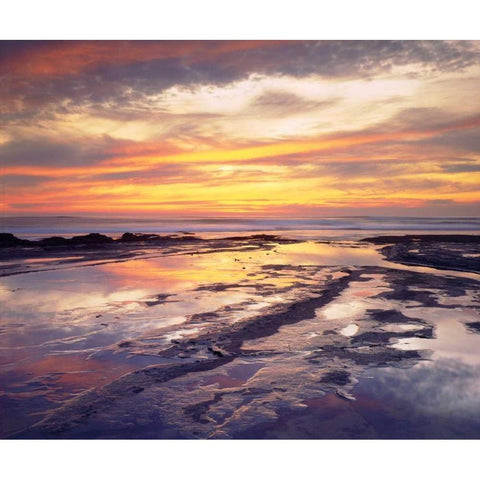 California, San Diego, Sunset Cliffs tide pools Black Modern Wood Framed Art Print by Talbot Frank, Christopher